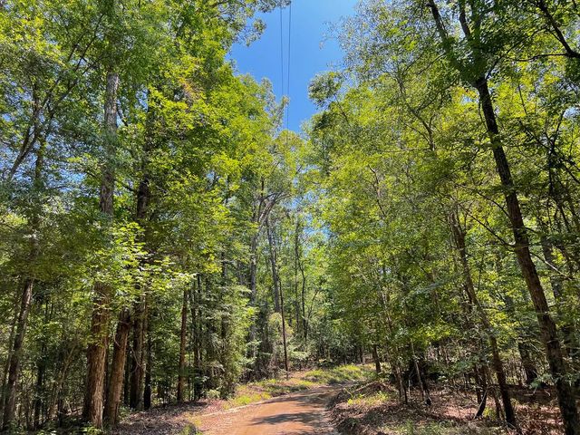 1 New Haven Road, Milam, TX 75948