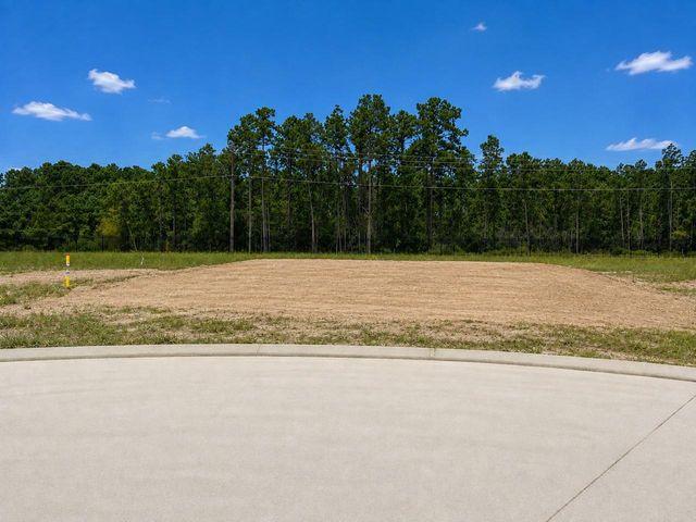 23030 Pearl Lakes Court, Porter, TX 77365
