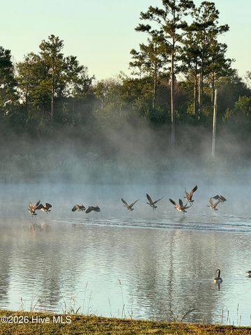 110 Sea Breeze Court, Sneads Ferry, NC 28460