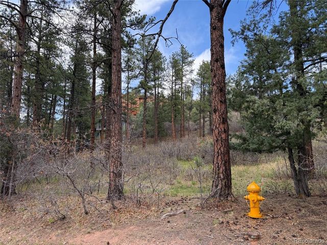 4885 Red Rock Dr, Larkspur, CO 80118