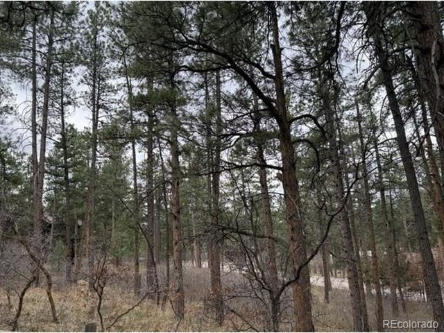 4885 Red Rock Dr, Larkspur, CO 80118