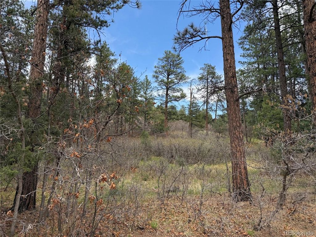 4885 Red Rock Dr, Larkspur, CO 80118