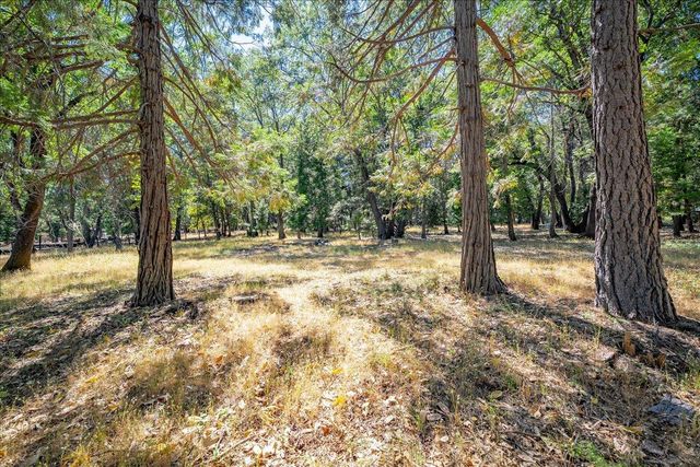 5104 Crestline Dr, Foresthill, CA 95631