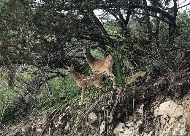 0 Hill Top Ln, Lakehills, TX 78063