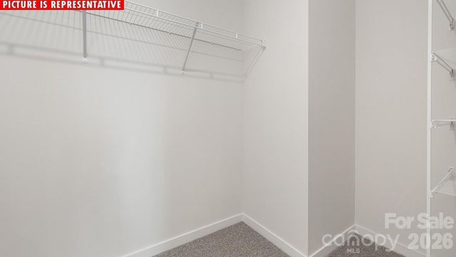 11515 Cardinal Creek Avenue, Charlotte, NC 28215