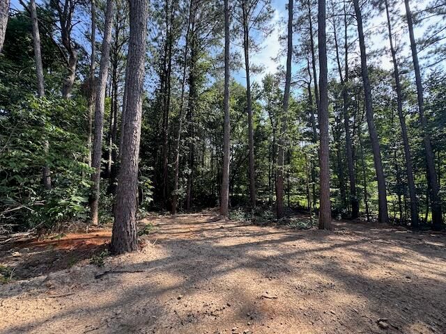 219 Maddron Road, Crandall, GA 30711