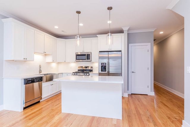 2307 W 19th Street 3, Chicago, IL 60608