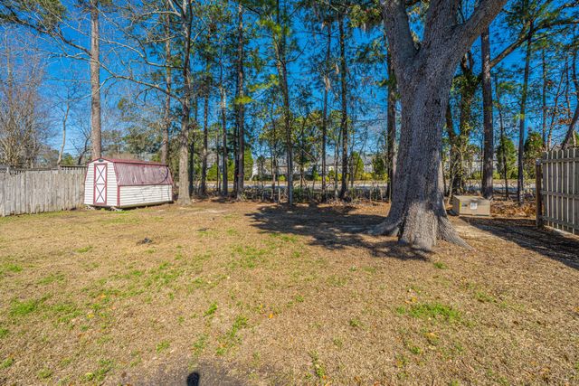 220 Wildberry Lane, Goose Creek, SC 29445