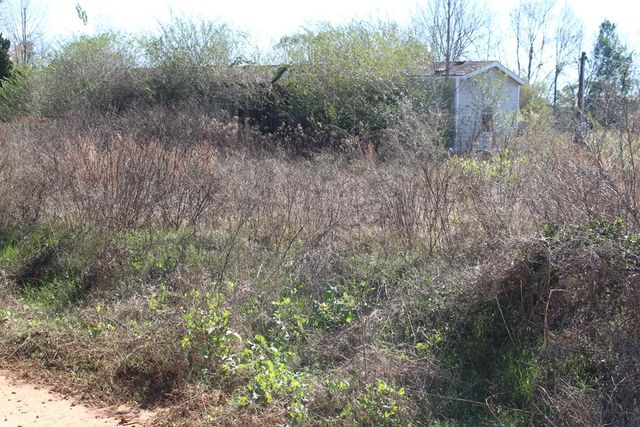 198-230 Bonner Rd., Newton, AL 36352