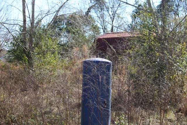 198-230 Bonner Rd., Newton, AL 36352