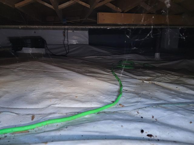 1517 Truman Avenue, Chattanooga, TN 37412