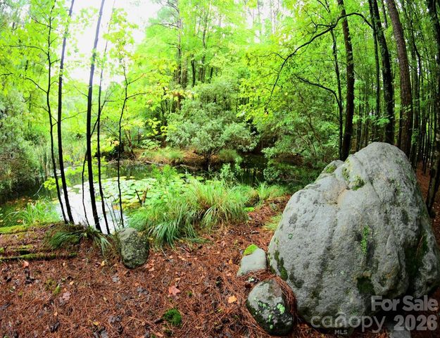 8619 Cedar Knoll Drive, Waxhaw, NC 28173