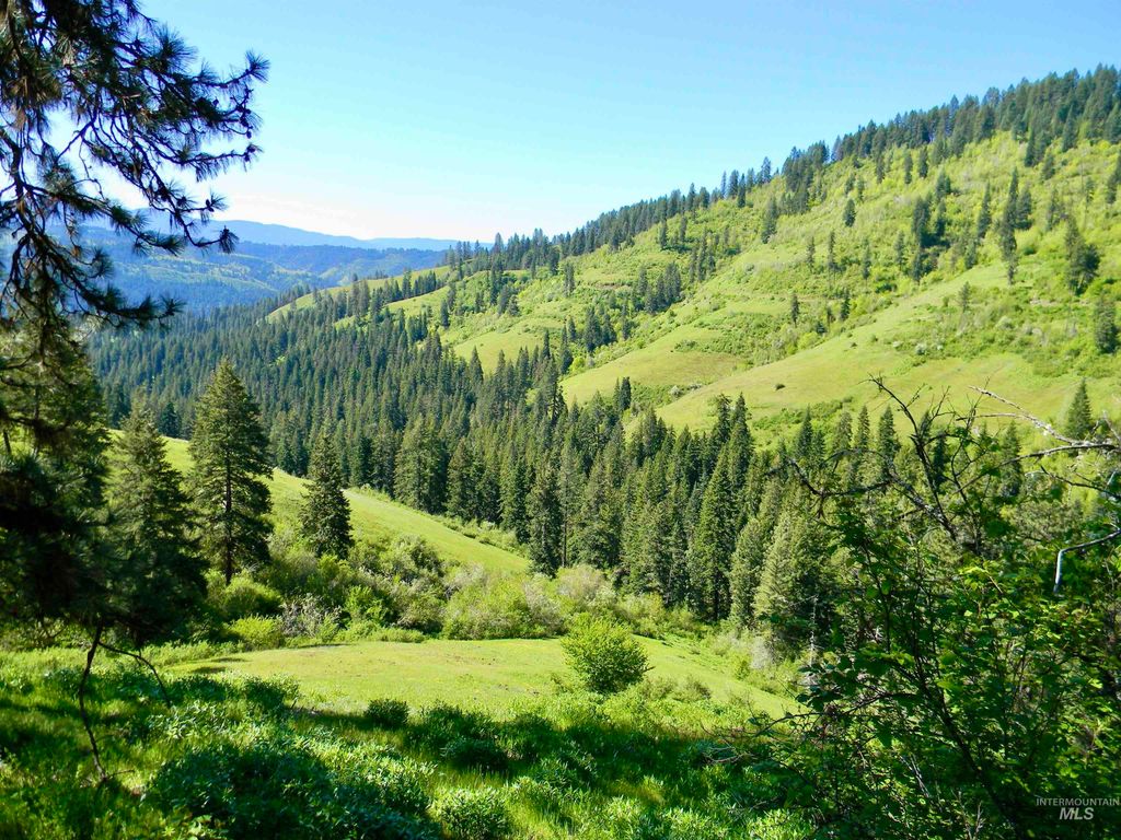 151 151 Ranta Rd, Kooskia, ID 83539 photo 26