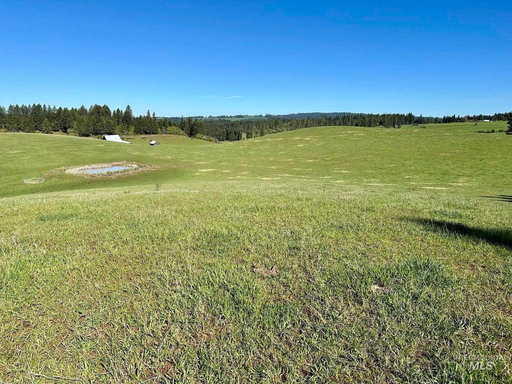 151 151 Ranta Rd, Kooskia, ID 83539 photo 28