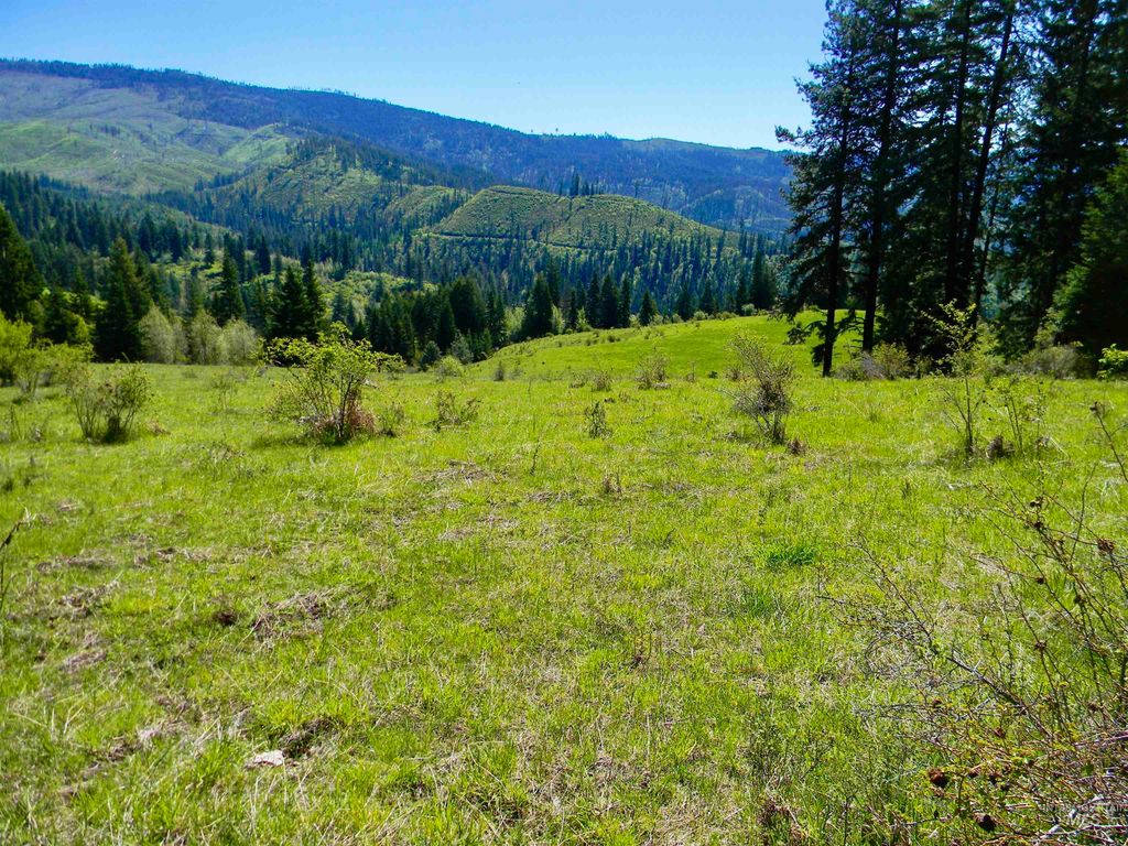 151 151 Ranta Rd, Kooskia, ID 83539 photo 7