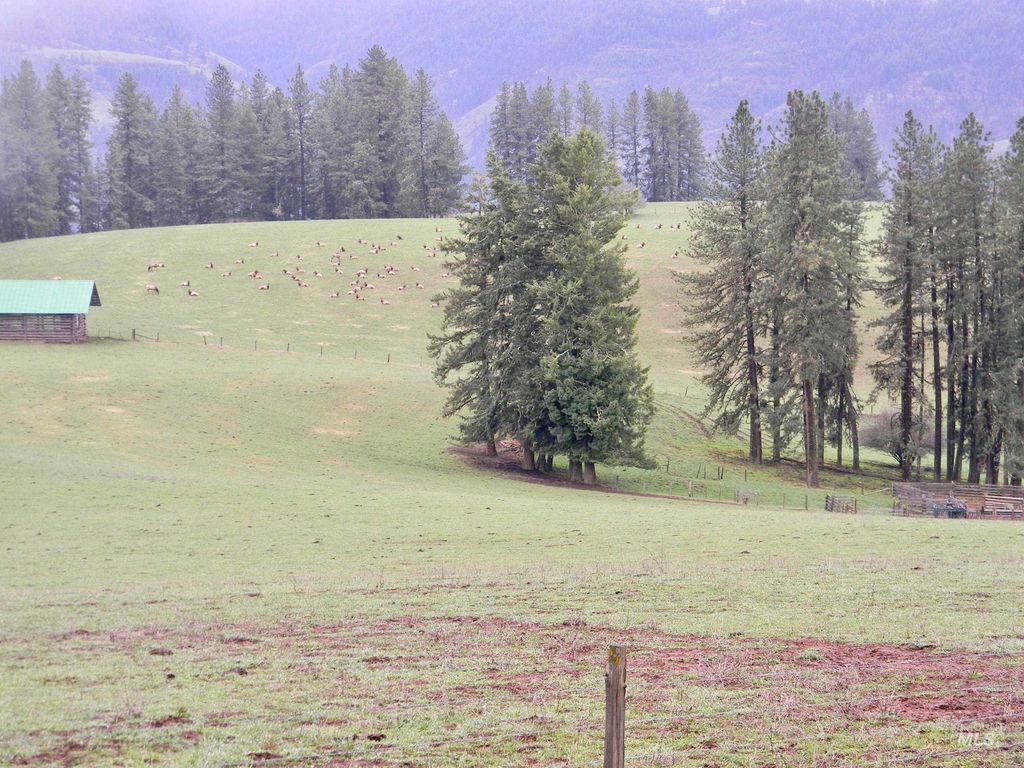 151 151 Ranta Rd, Kooskia, ID 83539 photo 8