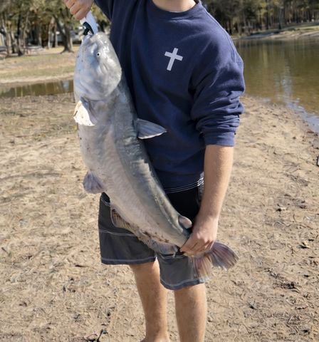 1410 S Shore Drive, Bonham, TX 75418