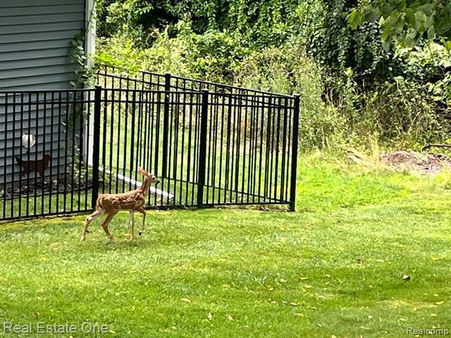 707 6th Street, Fenton, MI 48430