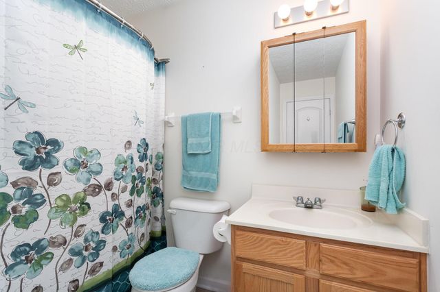 5809 Ivy Branch Drive, Dublin, OH 43016