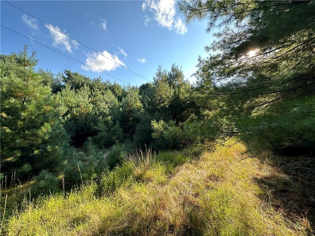 Lot 15-11 Ward Brower Jr Drive, Barryville, NY 12719