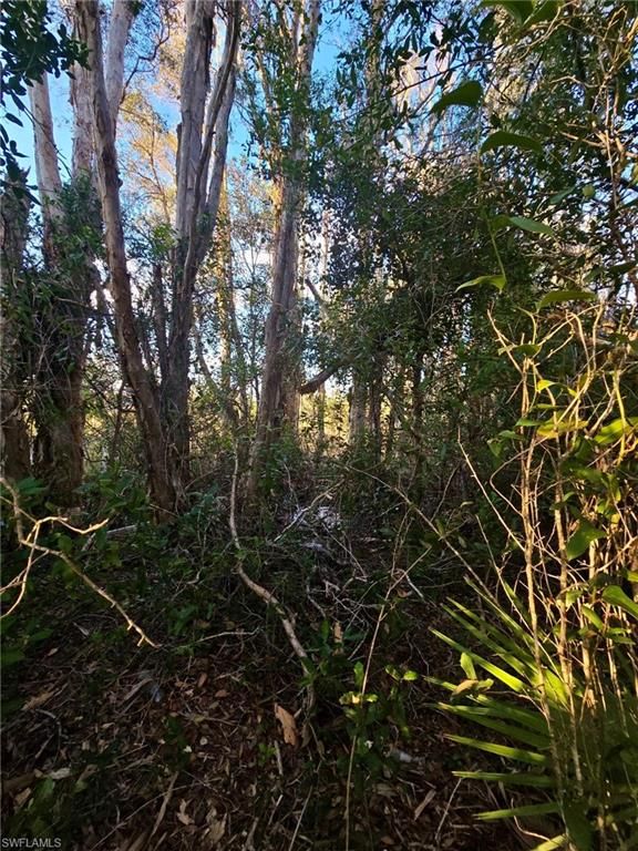 3402 39th ST SW, LEHIGH ACRES, FL 33976 — photo 3
