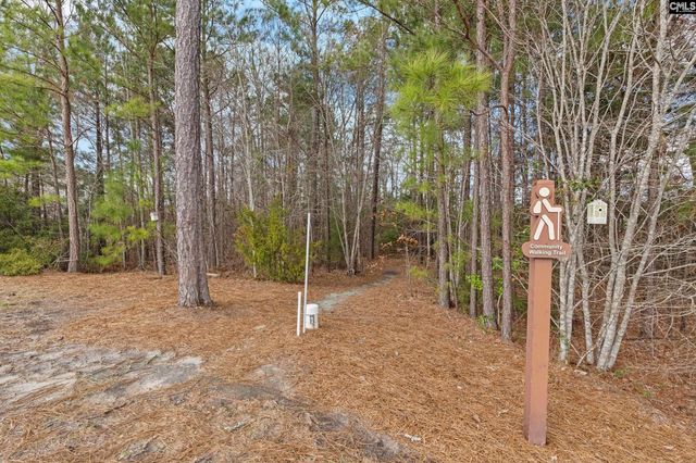 814 Dutchmaster Drive, Chapin, SC 29036