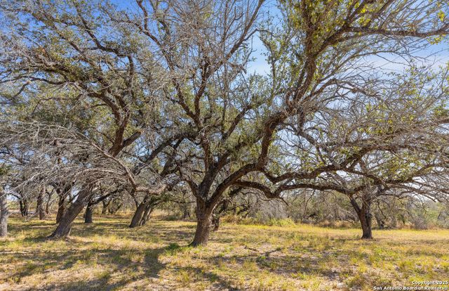 1304 County Road 777, Devine, TX 78016