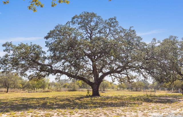 1304 County Road 777, Devine, TX 78016