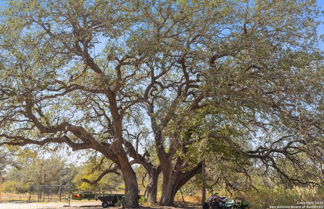 1304 County Road 777, Devine, TX 78016