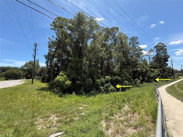 LOT 14 STATE ROAD 44, Eustis, FL 32726