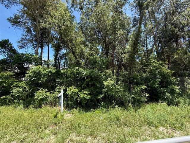 LOT 14 STATE ROAD 44, Eustis, FL 32726