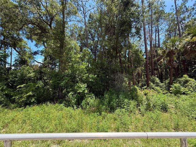 LOT 14 STATE ROAD 44, Eustis, FL 32726