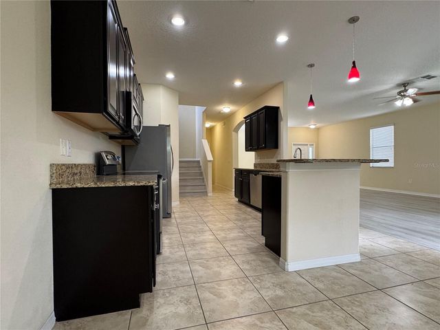 20044 DATE PALM WAY, Tampa, FL 33647