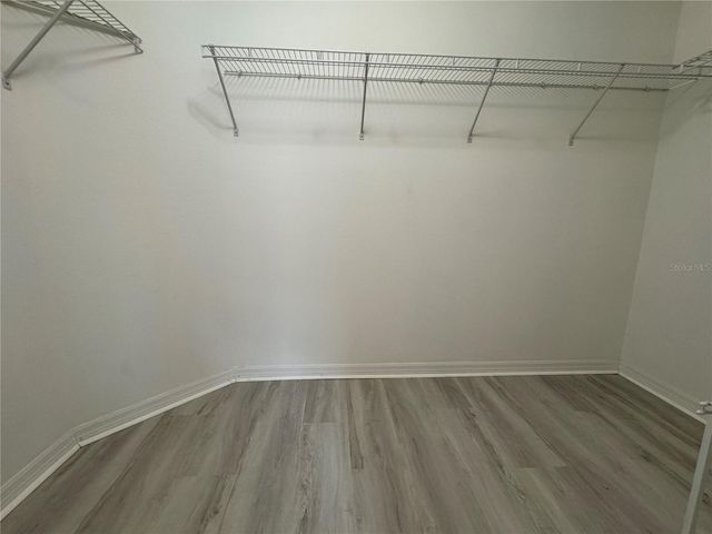 20044 DATE PALM WAY, Tampa, FL 33647
