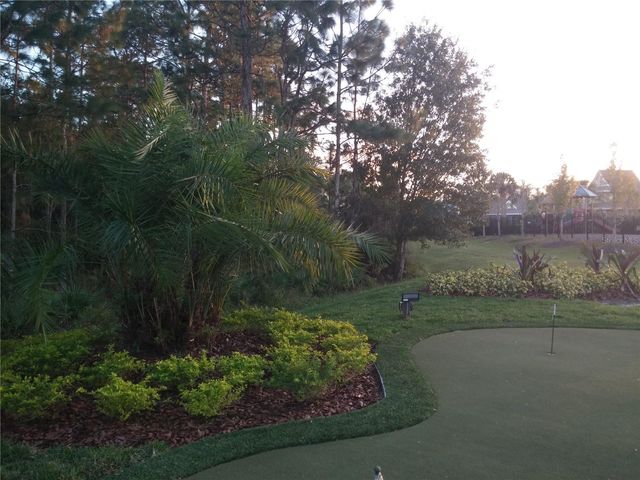 20044 DATE PALM WAY, Tampa, FL 33647