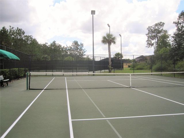 20044 DATE PALM WAY, Tampa, FL 33647