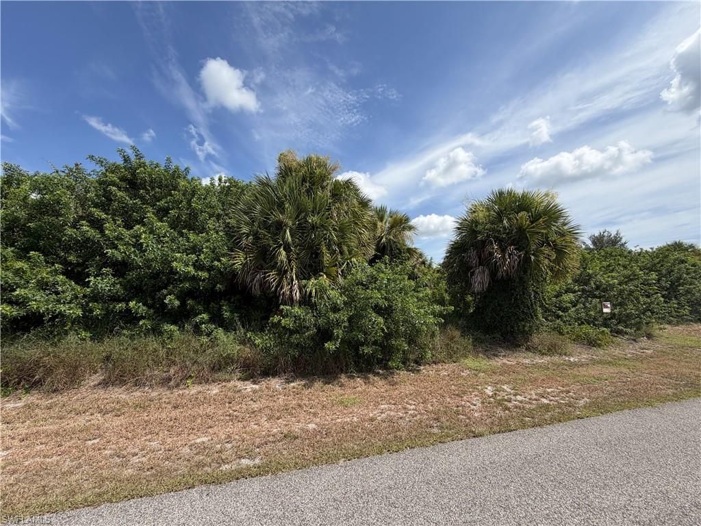 721 Camilla ST E, LEHIGH ACRES, FL 33974 — photo 4
