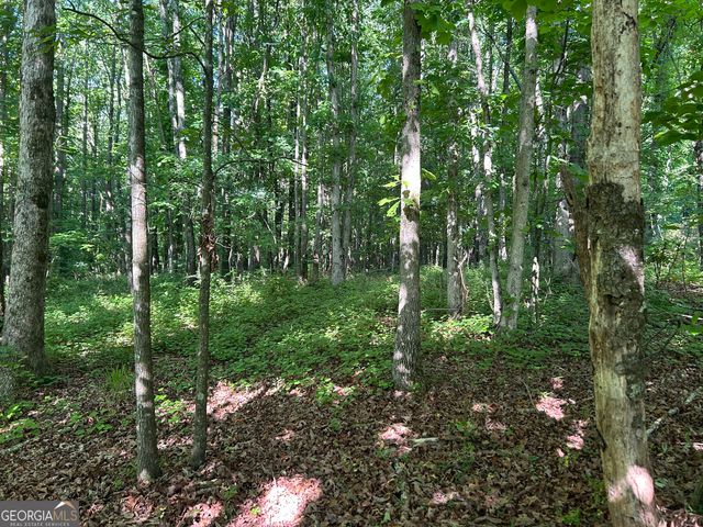 3498 Mud Creek Road, Cornelia, GA 30531