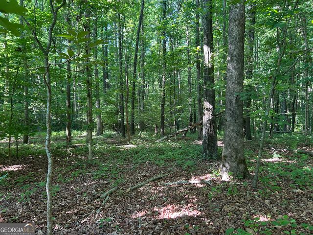 3498 Mud Creek Road, Cornelia, GA 30531