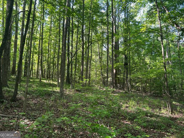 3498 Mud Creek Road, Cornelia, GA 30531
