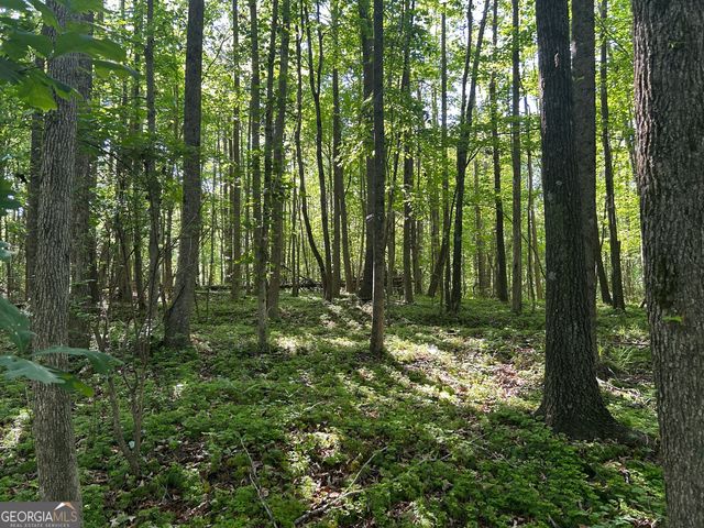 3498 Mud Creek Road, Cornelia, GA 30531