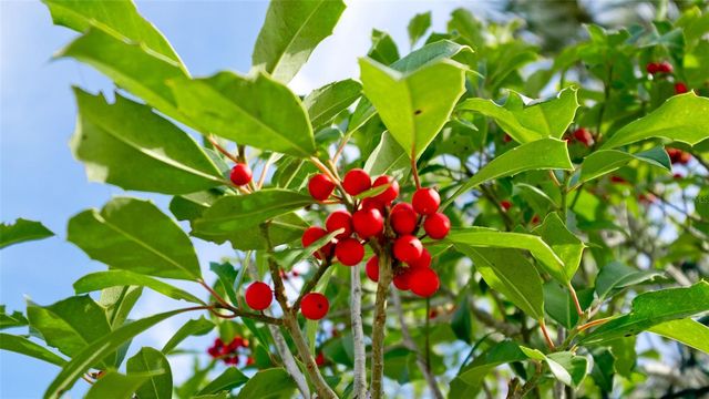 836 WATERSIDE LANE, Bradenton, FL 34209