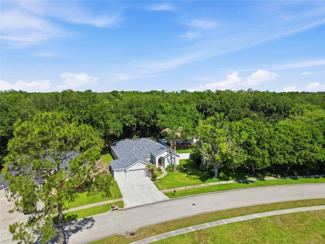 3205 PARTRIDGE POINT TRAIL, Valrico, FL 33596