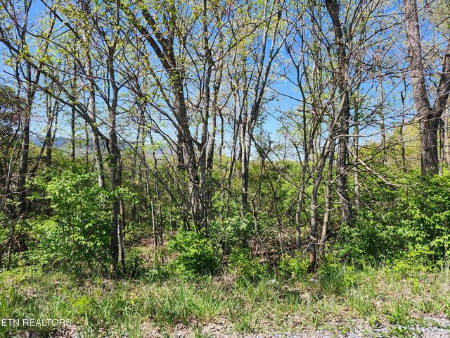 Lot 88R Oneil Rd, Newport, TN 37821