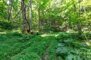 ### Board Tree Road 3, Marshall, NC 28753