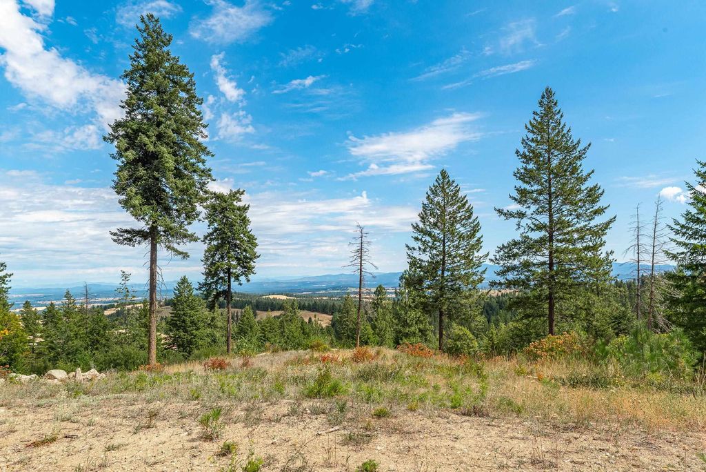 6612 W Lookout Mountain Ln, Spokane, WA 99208