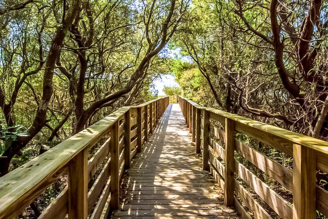 52 Bentley Lane, Santa Rosa Beach, FL 32459