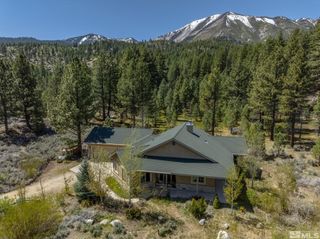 105 Old Mill Place, Washoe Valley, NV 89704