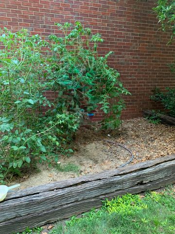 854 Sparkleberry, Evans, GA 30809