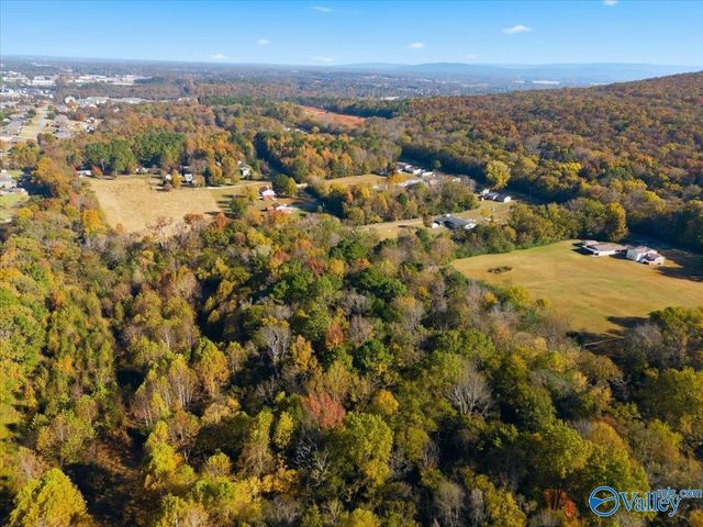 13 Townsend Drive NE, Huntsville, AL 35811